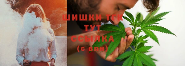ПСИЛОЦИБИНОВЫЕ ГРИБЫ Горнозаводск