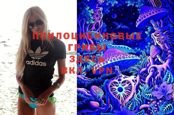 винт Горно-Алтайск