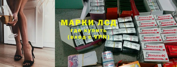 ПСИЛОЦИБИНОВЫЕ ГРИБЫ Горнозаводск