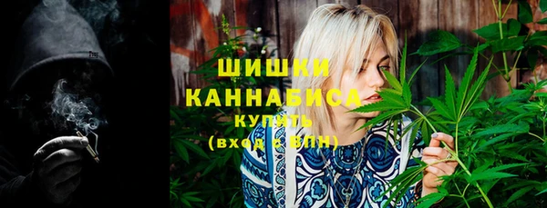 винт Горно-Алтайск