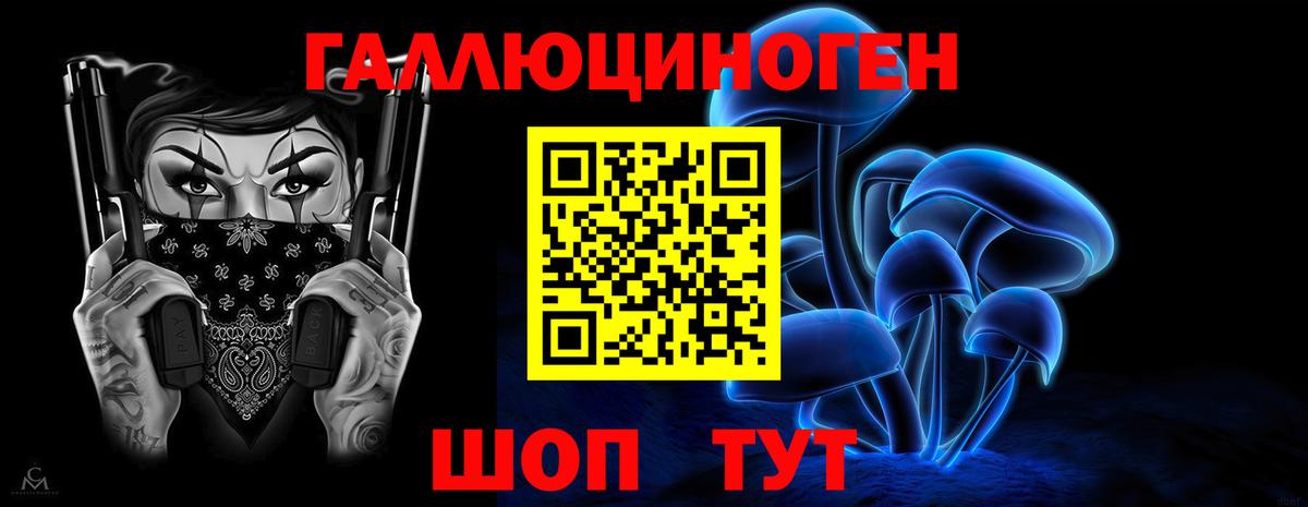 Губкин  Галлюциногенные грибы мицелий  Галлюциногенные грибы мицелий  Вход с VPN 